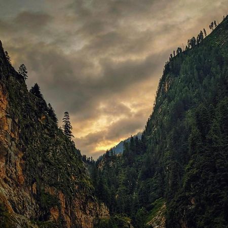 Hotel Brownie River View Kasol Zewnętrze zdjęcie
